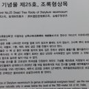 조록나무 뿌리 형상물 이미지