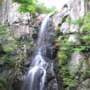 천향의 아픔을 딛고... 가지산도립공원 49Km 이미지