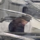 연세제이엘산부인과의원 | 하남 연세 아란 산부인과 제왕절개 출산 + 임신 기간 진료 후기