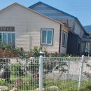 콩이네하우스 이미지