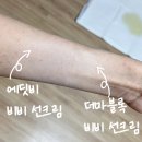 다이소 비비 선크림 신상 비교 후기 ㅣ 에딧비 vs 더마블록 솔직 리뷰