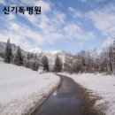 전주기독병원 이미지