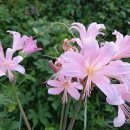 우리경봉환경 이미지