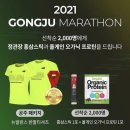 정관장공주