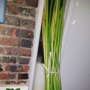 대문안 농장 이미지