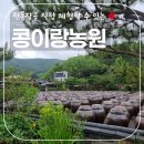 대영농원 4농장 | 아이와 함께 하기 좋은 전통 장 체험, 고성 콩이랑농원에서 고추장 만들기 체험 하고 온 후기!
