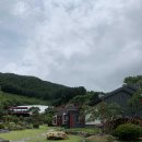강대박