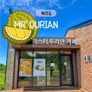 미스터양 | 제주 애월 카페 미스터두리안｜ 두리안 라떼·쉐이크·크레이프 솔직 후기