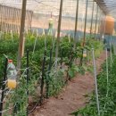 오두막막걸리 이미지