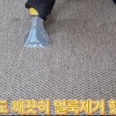 삼일세탁 이미지