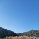 신라장 이미지