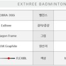 배드민턴스토리 이미지