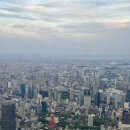 유한회사 시내식당 | ［ 일본 / 도쿄 ] 하네다공항 입국절차 후 택시로 시내 이동 방법 후기 비짓재팬 포함