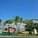 창녕우포곤충나라 이미지