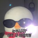 주연정 | 월간 주연정 14. 어느 상황에서고 강한 척할 수 있다면 강한 것이다