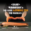 바른연어