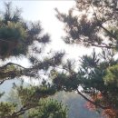 슬로우팜체험펜션