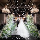 그레이스밸리 이미지