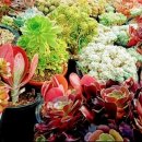 해림농장 이미지