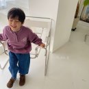 티플랜비