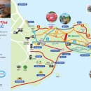 GS25 황성청우점 | 8월 | 울산 대왕암공원 맥문동 숲길 (경상도여름여행 울산가볼만한곳) 개화상황 송림길 주차