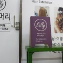 셀리붙임머리 이미지