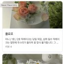 브리이에케이크