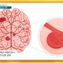 (주)행복한아침 이미지