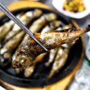 속초야식