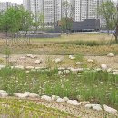 망포공원(망포동) 이미지