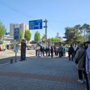 2026 양평 용문산 산나물축제 첫째날 100% 즐긴 후기 주차 꿀팁 대방출