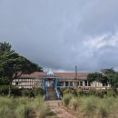 다원필 - 세종특별자치시 보듬3로 160 | 서귀포 가볼만한곳 제주다원 방문후기 답답할때 속이 뻥 뚫리는 그런곳 조용한데 분위기는 100점