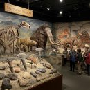 연천 구석기축제 이미지