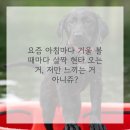 서울엠플란트치과의원 이미지