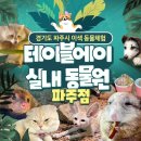 초록테이블 이미지