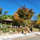 주왕산애플펜션 이미지