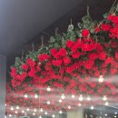 한잔어때 | 청주꽃집 꽃한잔 에서 크리스마스 꽃다발 여기어때