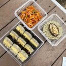 뿌뿌네 두번째 제주여행 1탄 제주애견동반여행 숙소 카페 식당