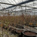 미루농장 이미지