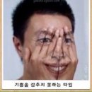 블랙버드(Black Bird) | [일본 만화 추천/후기] 블랙 버드 (BLACK BIRD) - 쿄우 편