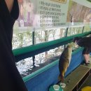 물고기마을 이미지
