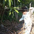 신기마을(연꽃세상) 이미지