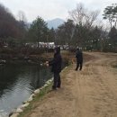 솔치팬션 이미지