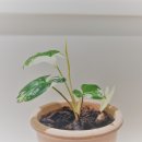 황금봄정신건강의학과의원 이미지