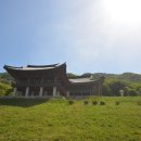 백양산임도(1) 이미지