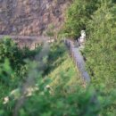 새벌농장 이미지