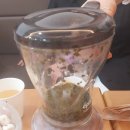 달커피 이미지