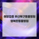행복한동물병원 | 예방접종 부산북구동물병원 행복한동물병원
