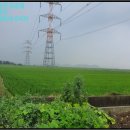 교로1리 마을회관 이미지