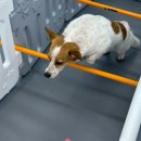 다온멍스쿨 이미지